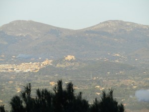IMG_3710 (Medium)